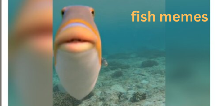 fish memes