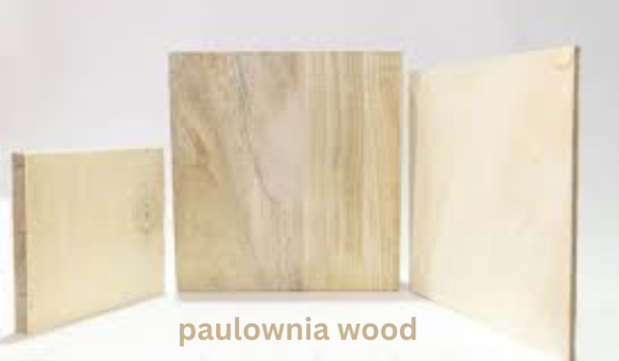 paulownia wood