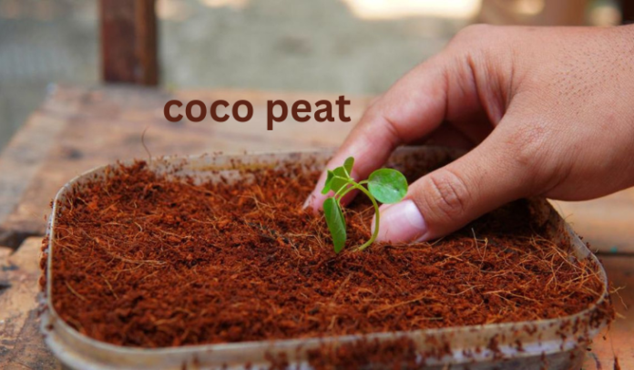 coco peat