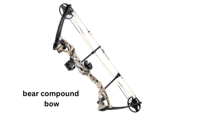 bear compound bow